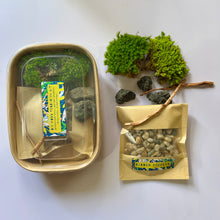 Load image into Gallery viewer, Mossy Kit | Moss Terrarium DIY Kit