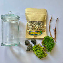 Load image into Gallery viewer, Mossy Kit | Moss Terrarium DIY Kit