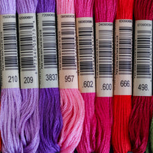 Load image into Gallery viewer, Embroidery | Cotton Threads