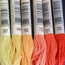 Load image into Gallery viewer, Embroidery | Cotton Threads