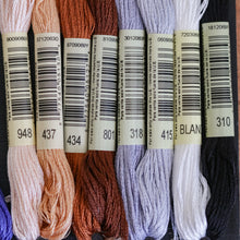 Load image into Gallery viewer, Embroidery | Cotton Threads