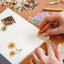 Load image into Gallery viewer, Strip Deco Sticker Packs | Astrology & Tickets