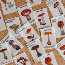Load image into Gallery viewer, Mini-memo Sheets | Flowers & Nature