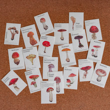Load image into Gallery viewer, Mini-memo Sheets | Flowers & Nature