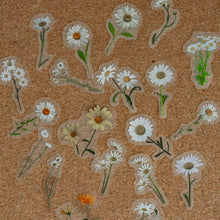Load image into Gallery viewer, Clear Deco Sticker Packs | Flowers & Nature