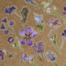 Load image into Gallery viewer, Clear Deco Sticker Packs | Flowers & Nature