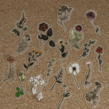 Load image into Gallery viewer, Clear Deco Sticker Packs | Flowers & Nature