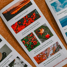 Load image into Gallery viewer, Sticker Sheet | Aesthetic & Mood