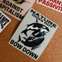 Load image into Gallery viewer, Stickers | Advocacy