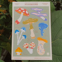 Load image into Gallery viewer, Sticker Sheet | Scientifically Inaccurate Mushrooms