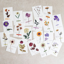 Load image into Gallery viewer, Mini-memo Sheets | Flowers & Nature