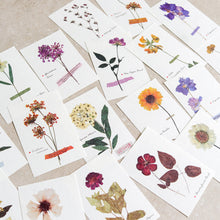 Load image into Gallery viewer, Mini-memo Sheets | Flowers & Nature