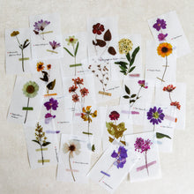 Load image into Gallery viewer, Mini-memo Sheets | Flowers & Nature