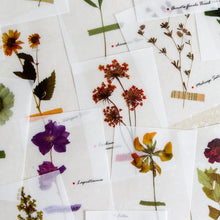 Load image into Gallery viewer, Mini-memo Sheets | Flowers & Nature