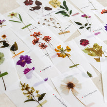 Load image into Gallery viewer, Mini-memo Sheets | Flowers & Nature