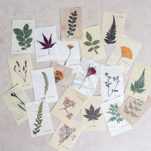 Load image into Gallery viewer, Mini-memo Sheets | Flowers & Nature