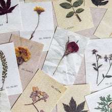 Load image into Gallery viewer, Mini-memo Sheets | Flowers & Nature