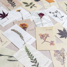 Load image into Gallery viewer, Mini-memo Sheets | Flowers & Nature