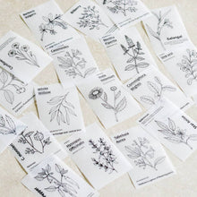 Load image into Gallery viewer, Mini-memo Sheets: Black & White Flowers - Common Room PH