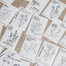 Load image into Gallery viewer, Mini-memo Sheets: Black & White Flowers - Common Room PH