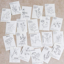 Load image into Gallery viewer, Mini-memo Sheets: Black & White Flowers - Common Room PH