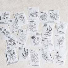 Load image into Gallery viewer, Mini-memo Sheets: Black & White Flowers - Common Room PH