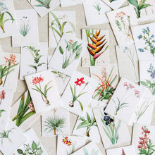 Load image into Gallery viewer, Vintage Mini-cards: Nature Series - Common Room PH