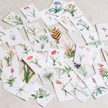 Load image into Gallery viewer, Vintage Mini-cards: Nature Series - Common Room PH