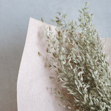 Load image into Gallery viewer, Dried Flower | Grain, Wheat, Misty - Common Room PH