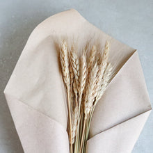 Load image into Gallery viewer, Dried Flower | Grain, Wheat, Misty - Common Room PH
