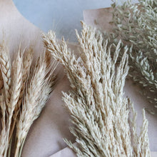 Load image into Gallery viewer, Dried Flower | Grain, Wheat, Misty - Common Room PH