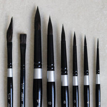Load image into Gallery viewer, Silver Brush - Black Velvet Brush - Common Room PH