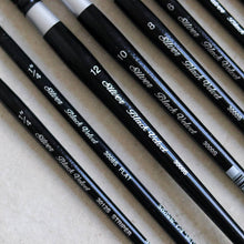 Load image into Gallery viewer, Silver Brush - Black Velvet Brush - Common Room PH