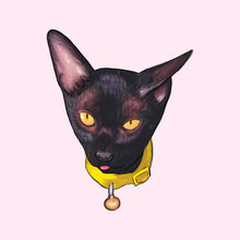 Load image into Gallery viewer, Custom Pet Portrait by Jenna of Heart Cheeks Studios - Common Room PH
