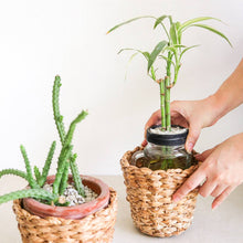 Load image into Gallery viewer, Bangkuan Basket Planter - Common Room PH