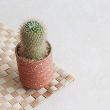 Load image into Gallery viewer, Buri Placemat - Common Room PH