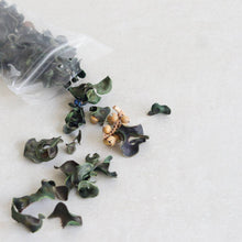 Load image into Gallery viewer, Potpourri - Common Room PH