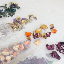 Load image into Gallery viewer, Potpourri - Common Room PH