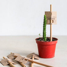 Load image into Gallery viewer, Little Big Help Seed Pencils - Common Room PH