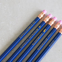 Load image into Gallery viewer, Pencil Sets by Punchdrunk Panda - Common Room PH