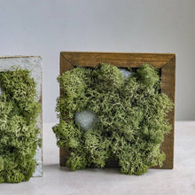 Load image into Gallery viewer, Habil Moss Frame - Common Room PH