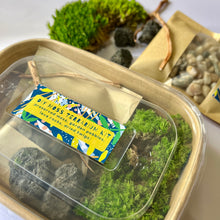 Load image into Gallery viewer, Mossy Kit | Moss Terrarium DIY Kit
