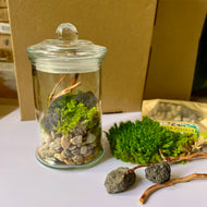 Mossy Kit | Moss Terrarium DIY Kit
