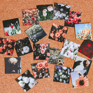 Square Deco Sticker Packs | Flowers & Films