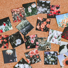 Load image into Gallery viewer, Square Deco Sticker Packs | Flowers &amp; Films
