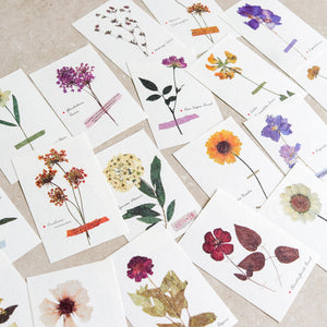 Mini-memo Sheets | Flowers & Nature