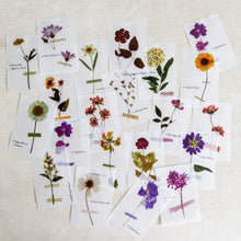 Load image into Gallery viewer, Mini-memo Sheets | Flowers &amp; Nature
