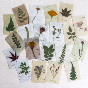 Mini-memo Sheets | Flowers & Nature