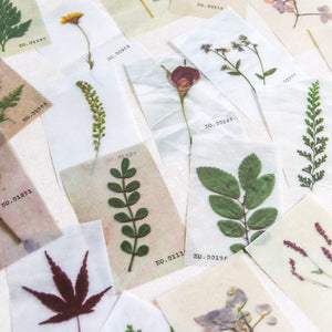 Mini-memo Sheets | Flowers & Nature