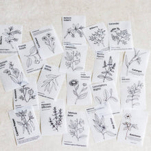 Load image into Gallery viewer, Mini-memo Sheets: Black &amp; White Flowers - Common Room PH
